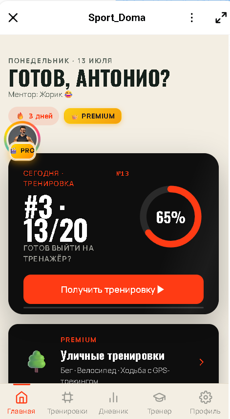 Мини-приложение SportDoma: тренировка дня