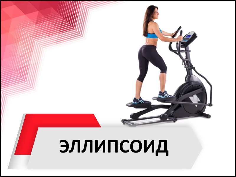 Аренда тренажёров в Воронеже — SportDoma